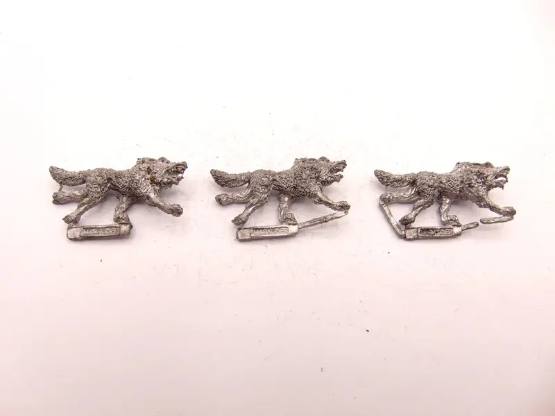 Wolf / Wolves