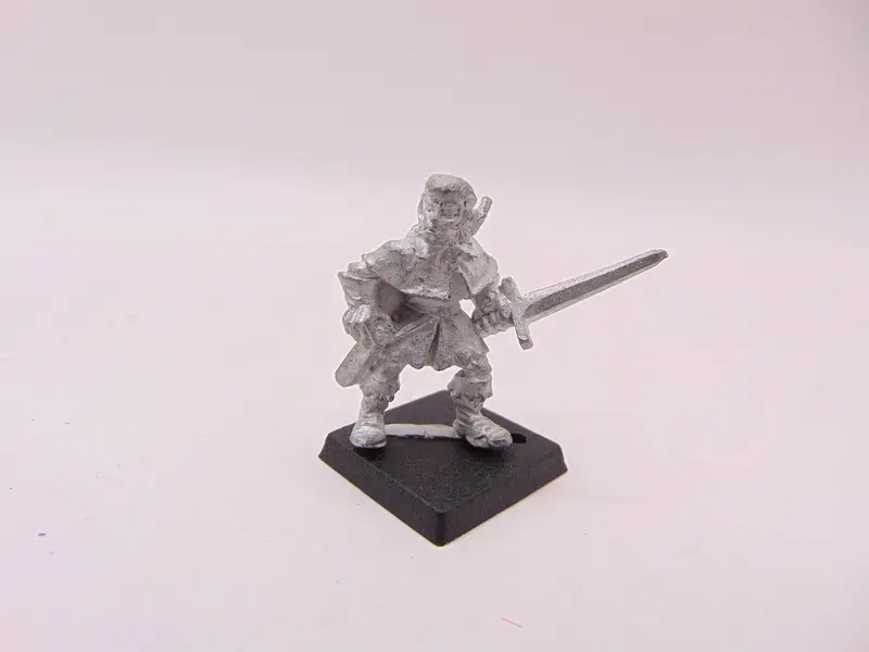 Wood Elf Warrior with Sword