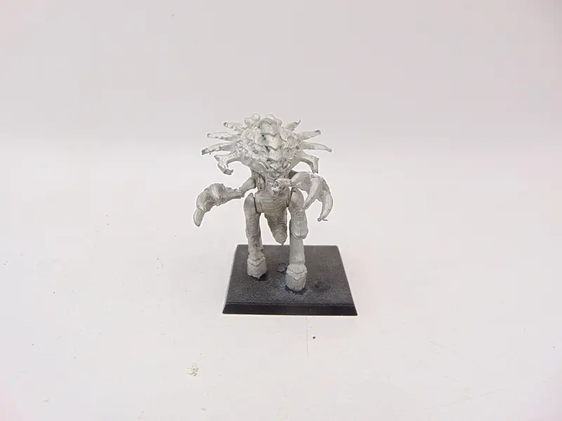 Zoanthrope