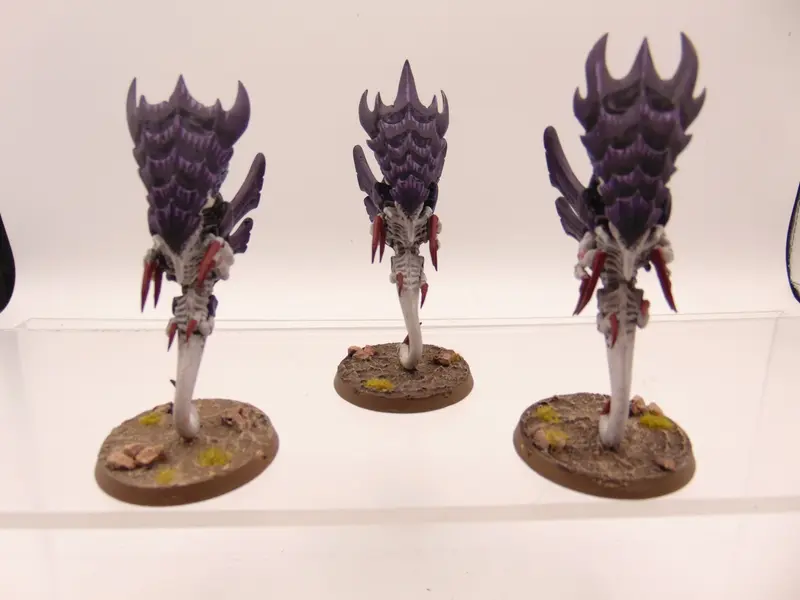 Zoanthropes