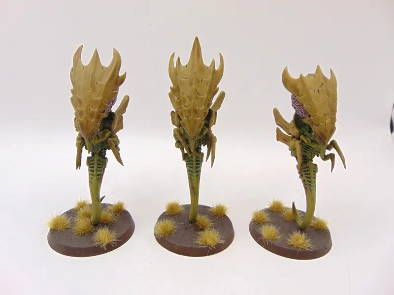 Zoanthropes